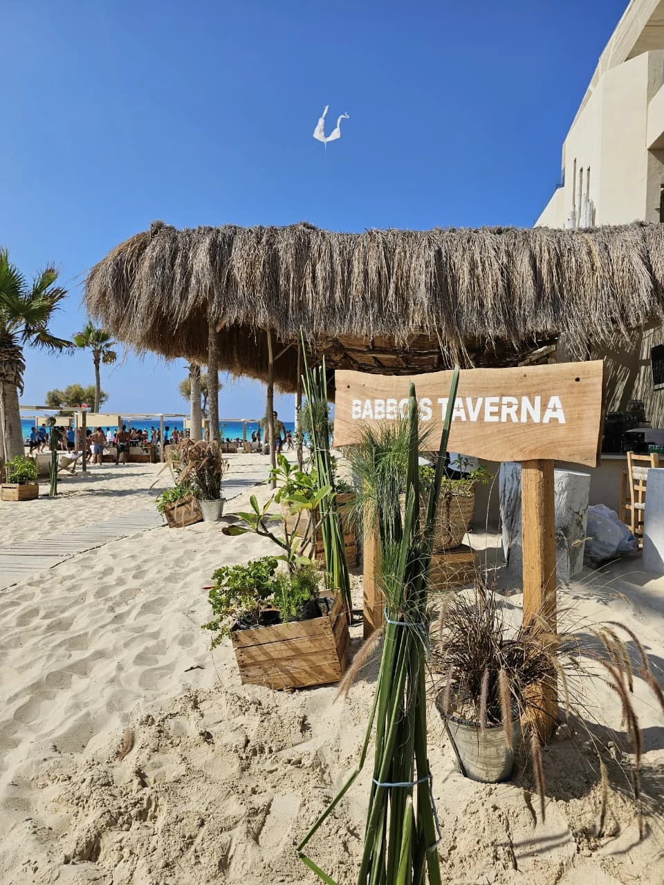 Babbo's Taverna — Sidi Heneish Village